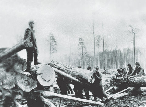 ‘Did the Soviets Treat Japanese POWs as Badly as German Ones?’