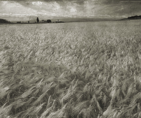 Inventing the Future: How the Civil War Inspired the Commodities Market