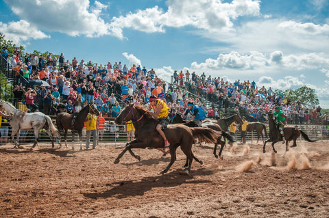 When the Cheyenne Acquired Horses in the 18th Century, the Connection Transformed the Tribe