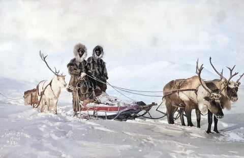 Like the Taste of Reindeer Meat? Some Alaskans Made a Fortune From It
