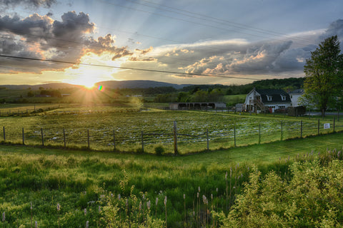 Moorefield, West Virginia: Confederate Bastion in the Blue State