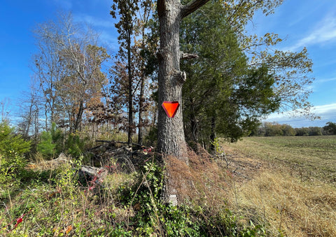 Parker’s Crossroads: Where Nathan Bedford Forrest Made the Union Weep