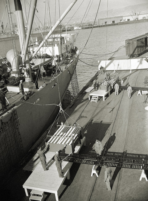 New Study Looks at a Grim Mission: Bringing WWII’s Dead Back Home