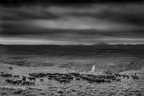 Then and Now on a Western Ranch