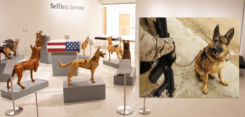 New Army Museum Exhibit Tells the Story of Hero Working Dogs