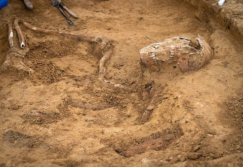 Rare Find of Skeletal Remains Discovered at Waterloo Battlefield