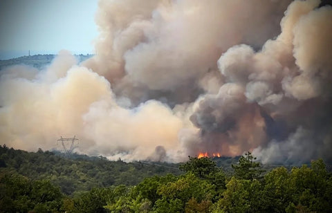 Wildfires Setting Off World War I Bombs in Europe