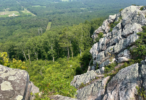 An Idiot’s Delight? Hiking the Rocky Face Ridge Battlefield