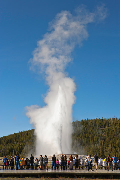 Yellowstone, a Crown Jewel of Nature