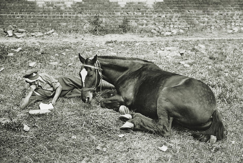 How the British Cared for Military Animals During WWI